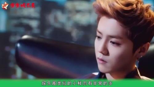 不太火的明星,揭秘那些不太火的明星魅力人生