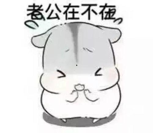 好老公的图片大全,图鉴中的温馨瞬间