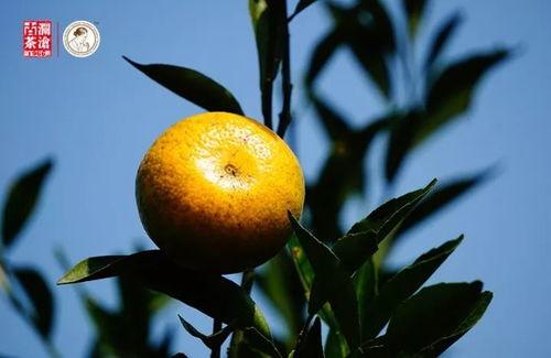 禁断 美柑免费观看,美柑免费观看，揭开禁忌爱情的神秘面纱