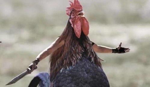 男人的机吧插母鸡B视频,一场意外的“亲密接触”