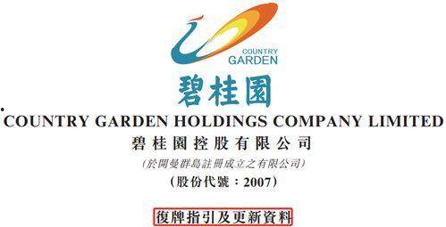 碧桂园爆料最新公告图片,揭秘企业战略布局与未来发展动向”