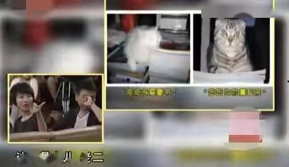 主播康辉爆料视频,幕后故事大公开