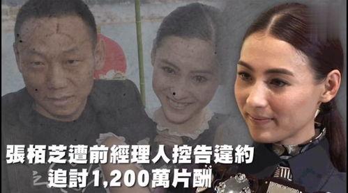 娱乐吃瓜图